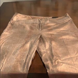 Alfani stretch pants Gold Shiny Reptile Print